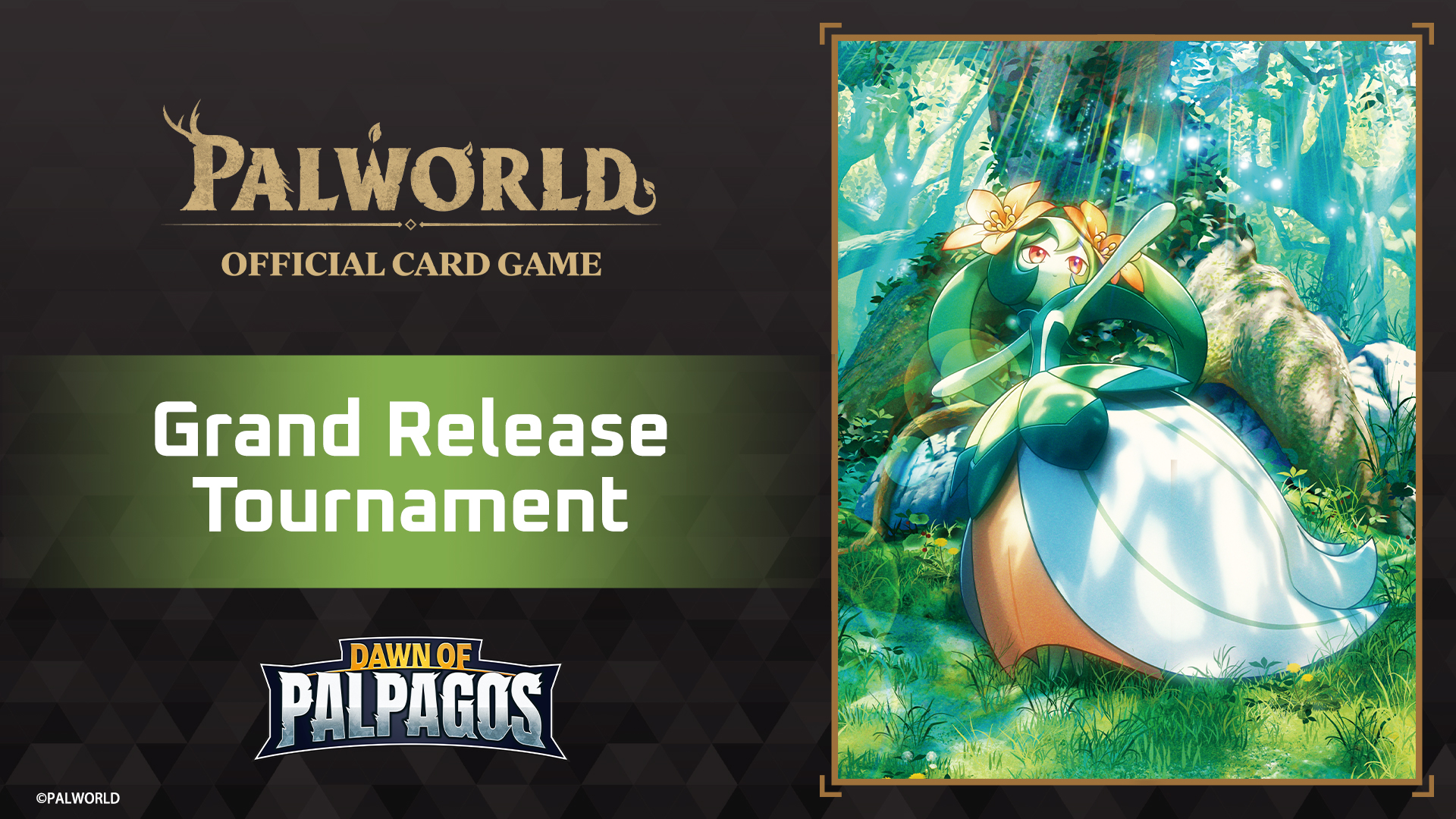 Grand Release Tournament