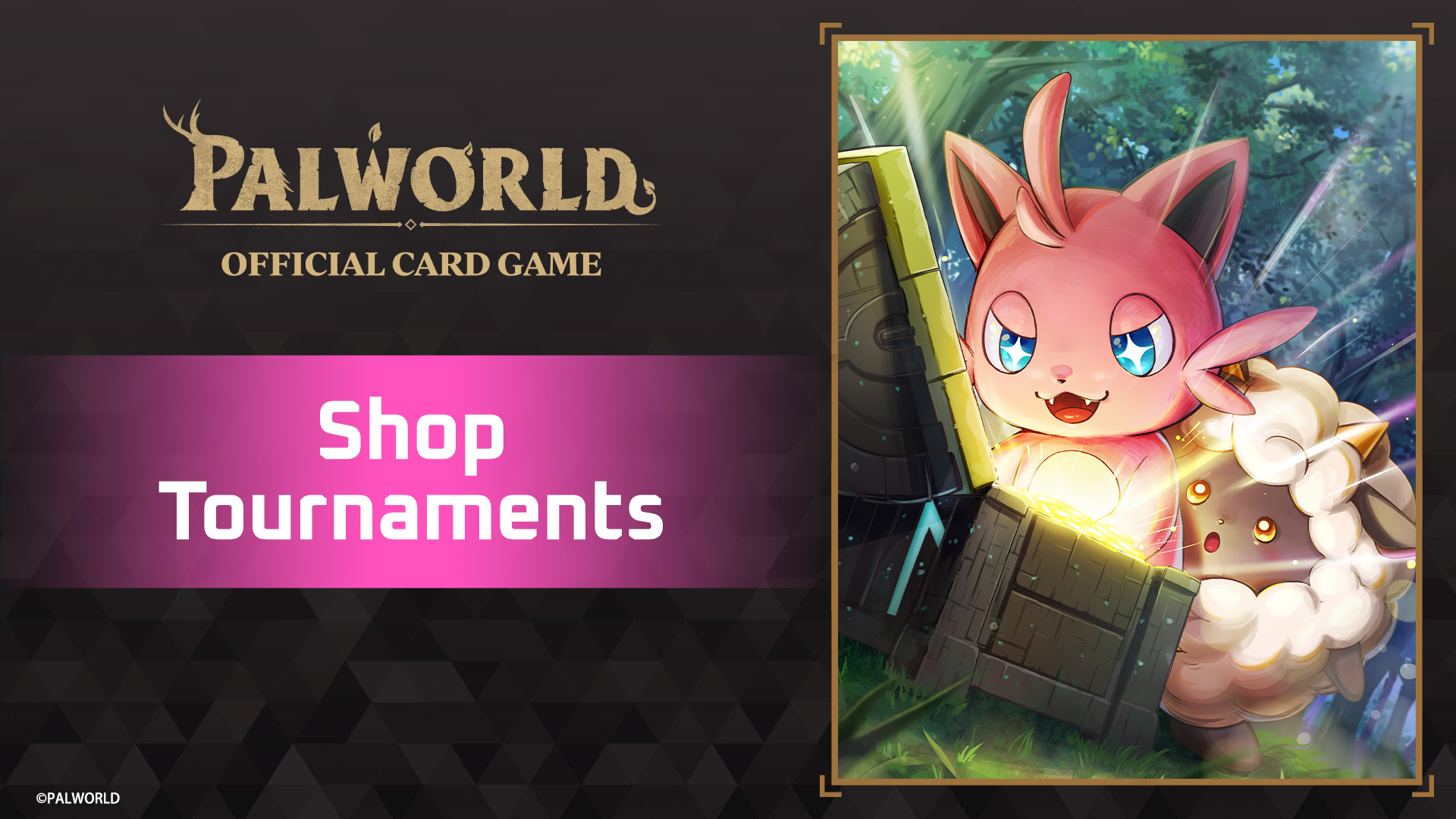 Shop Tournaments