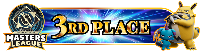 3rd Place